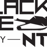 NTN Black Ice Bearing