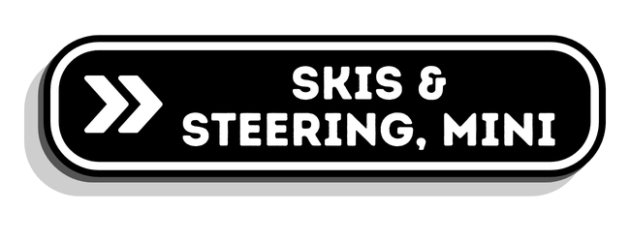 Ski's & Steering, Mini