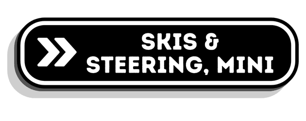 Ski's & Steering, Mini
