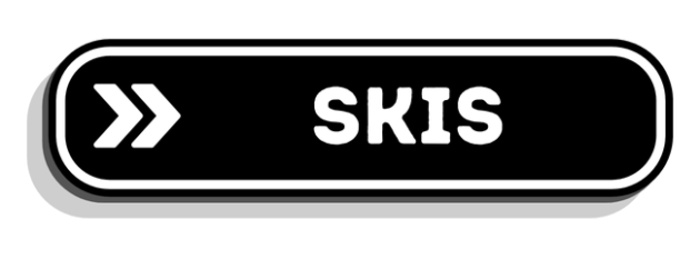 Skis