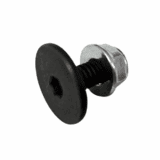 Track Bolts